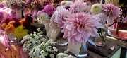 1st Feb 2025 - Farmers Market.. 