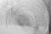 1st Feb 2025 - What my world felt like yesterday