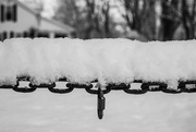 1st Feb 2025 - Cold Steel