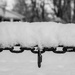 Cold Steel by darchibald