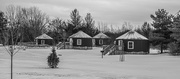 1st Feb 2025 - Camping yurts
