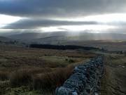 1st Feb 2025 - weardale february