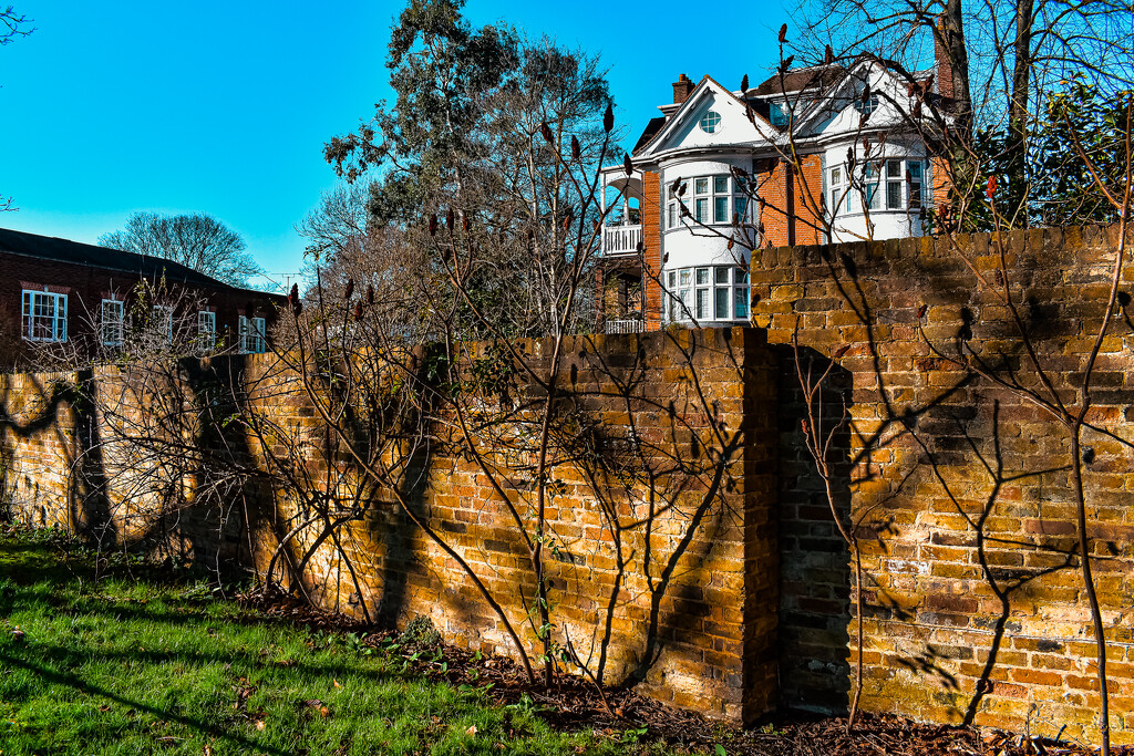 Shadows on the wall by tiaj1402