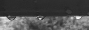 1st Feb 2025 - Droplets