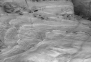 3rd Feb 2025 - Tones
