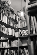 30th Jan 2025 - Happiness is a second hand bookstore
