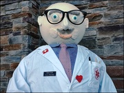 1st Feb 2025 - Dr. A. S. Prynn