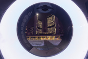 1st Feb 2025 - Toronto City Hall