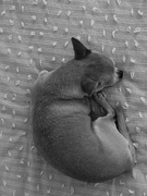 2nd Feb 2025 - Max