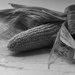 For dinner by dkbarnett