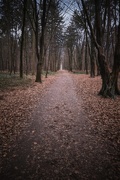 2nd Feb 2025 - my way