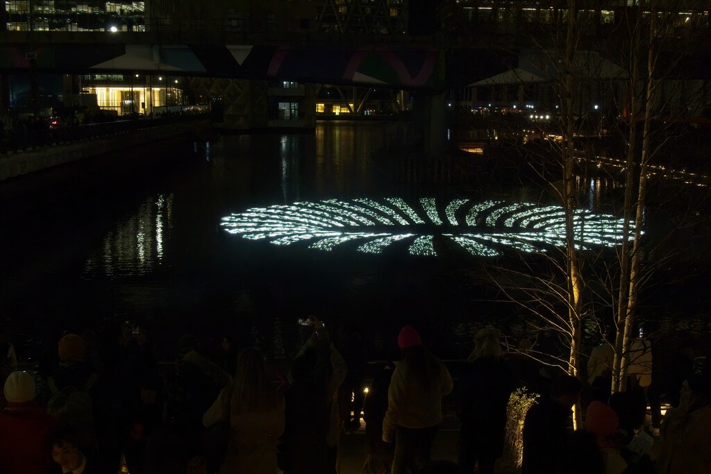 Winter Lights  by billyboy