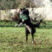 Frisbee time