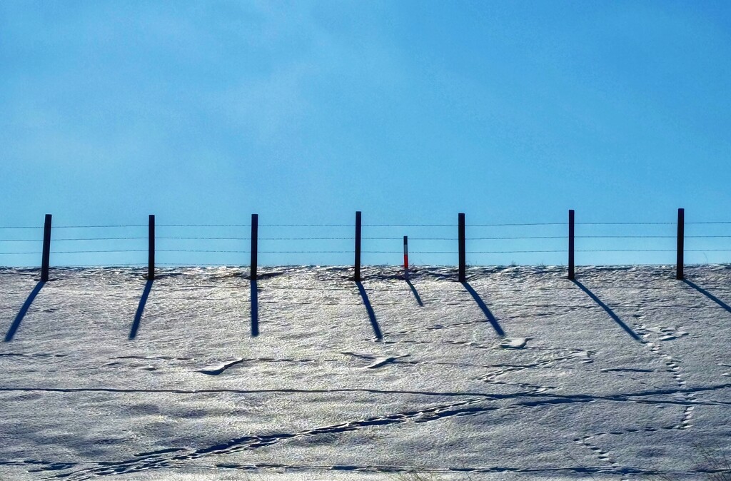 Posts & Shadows by ikik