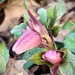 Sign of Spring by calm