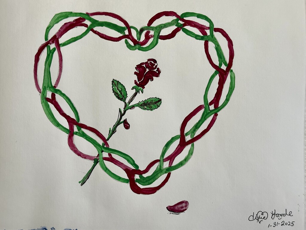 Valentine Rose by pandorasecho