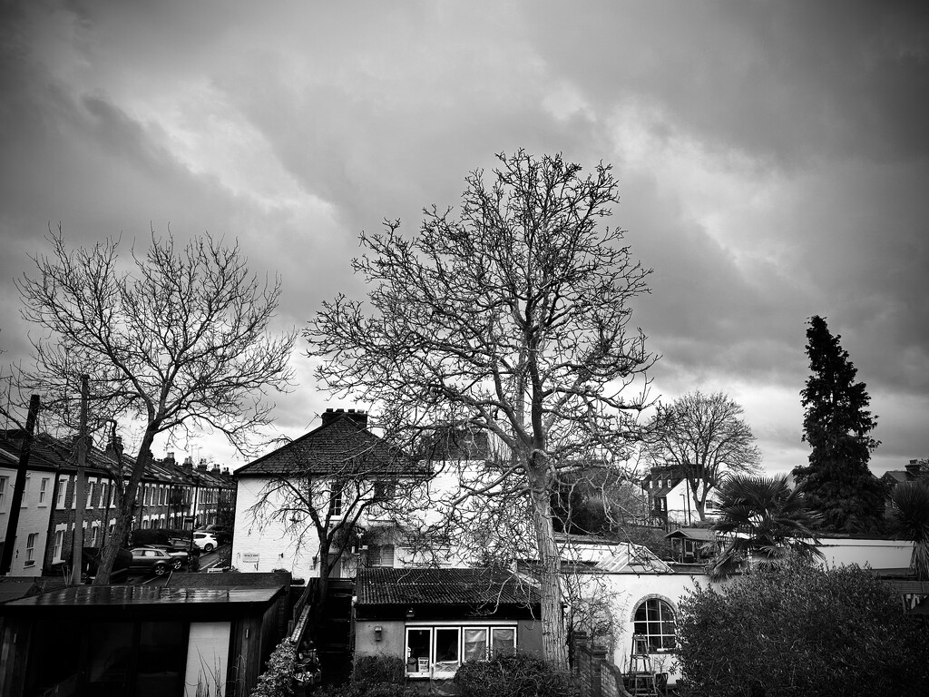 28th January 2025 by emmadurnford