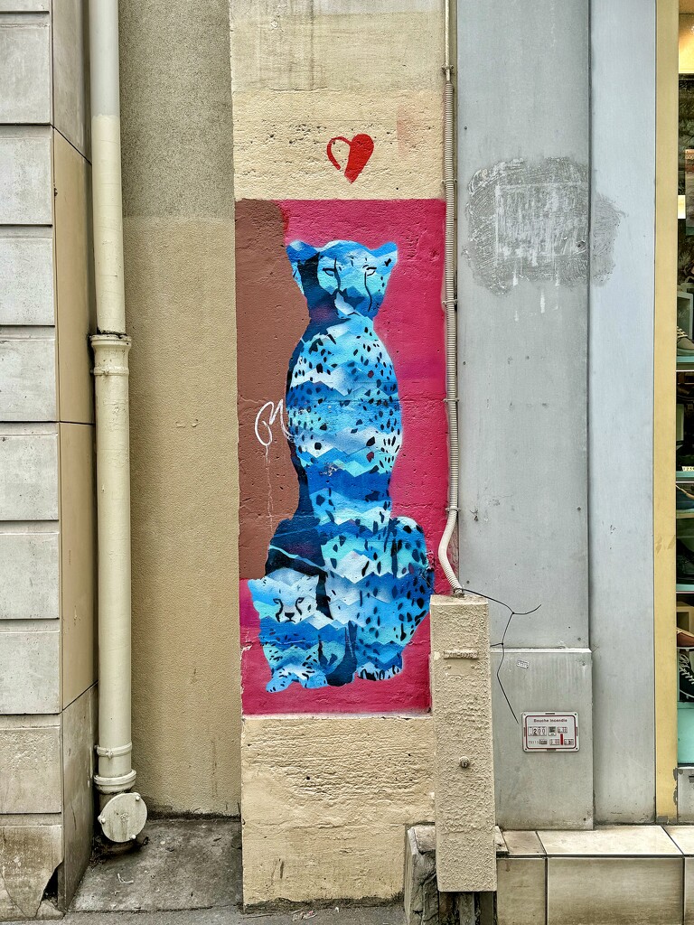 Heart in the street.  by cocobella