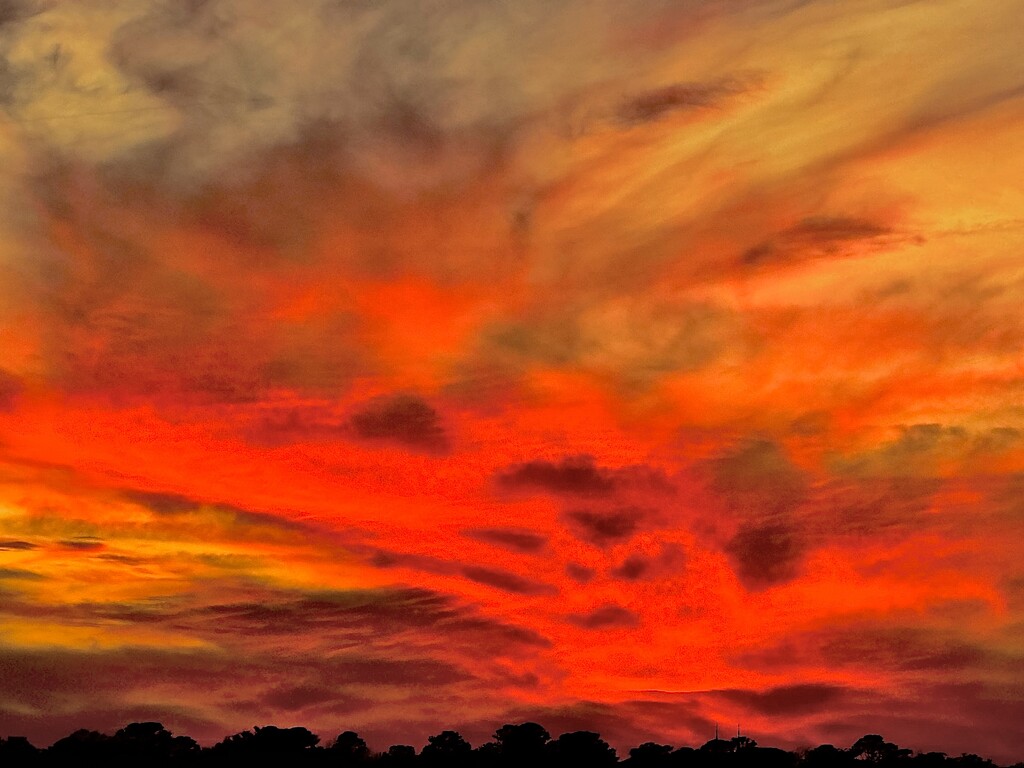 Sunset last night on the Ashley River by congaree
