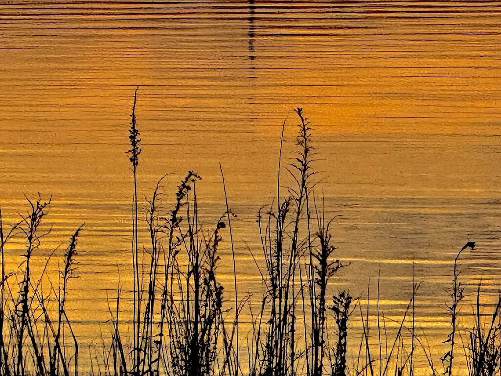 Stillness by congaree