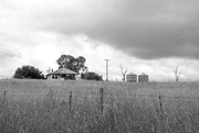 3rd Feb 2025 - Abandoned farm house