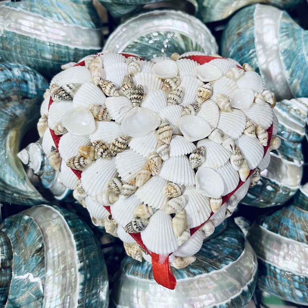 Shell Art by genealogygenie