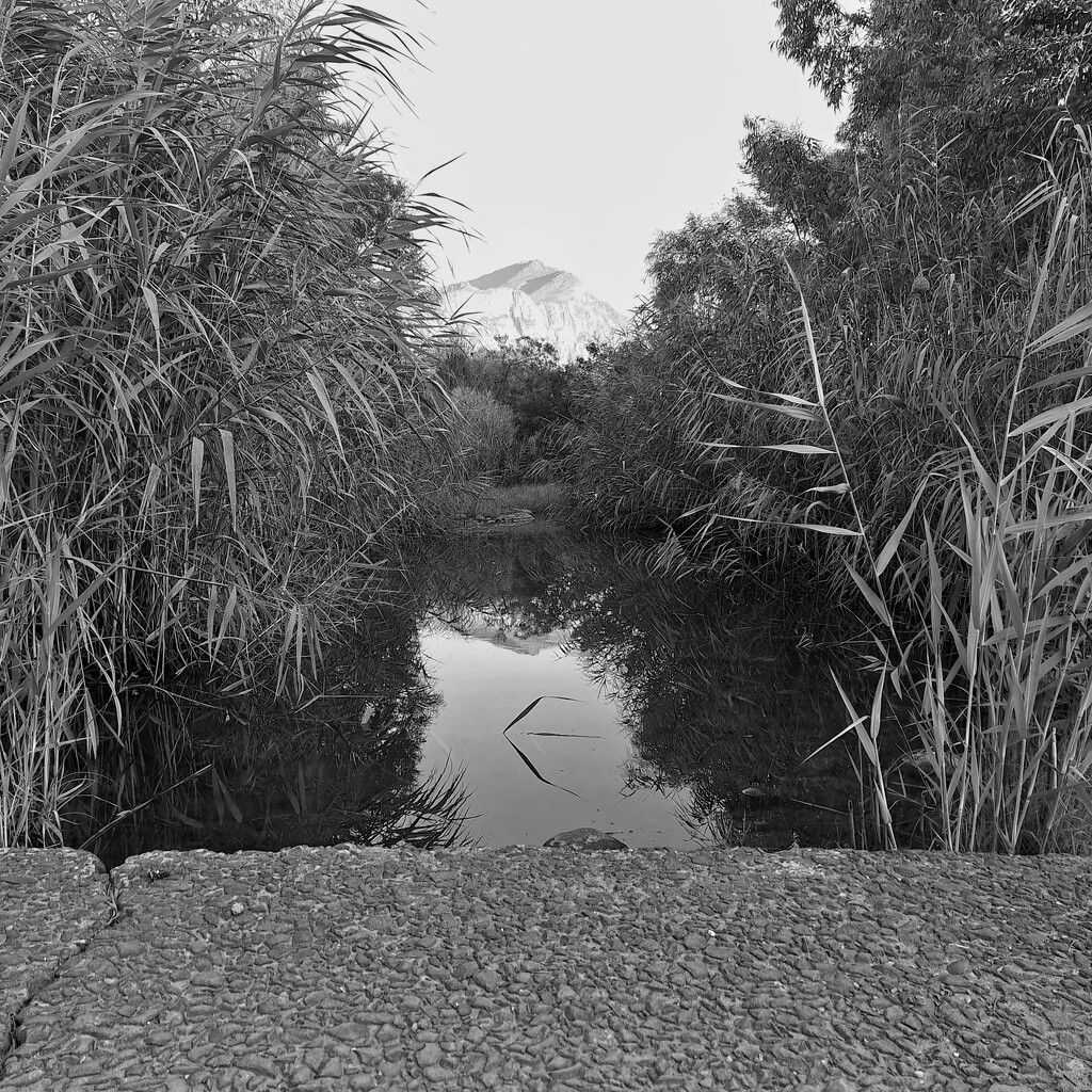 Saronsberg reflected by salza