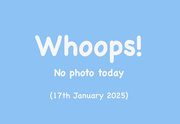 17th Jan 2025 - 17th January 2025