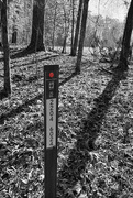 3rd Feb 2025 - Location