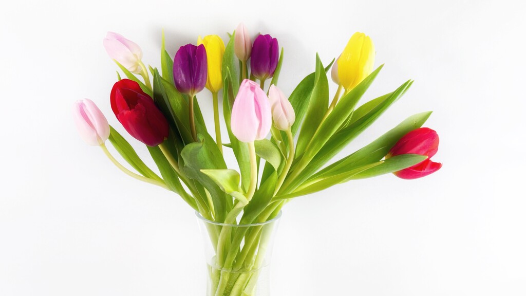 A bit of colour by carole_sandford