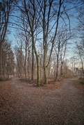 3rd Feb 2025 - Left or right?