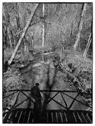 3rd Feb 2025 - On the Trail