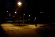 3rd Feb 2025 - Night walk