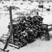 Soggy Firewood