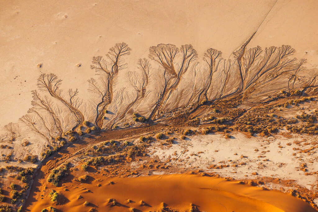 Sand Art  by jyokota