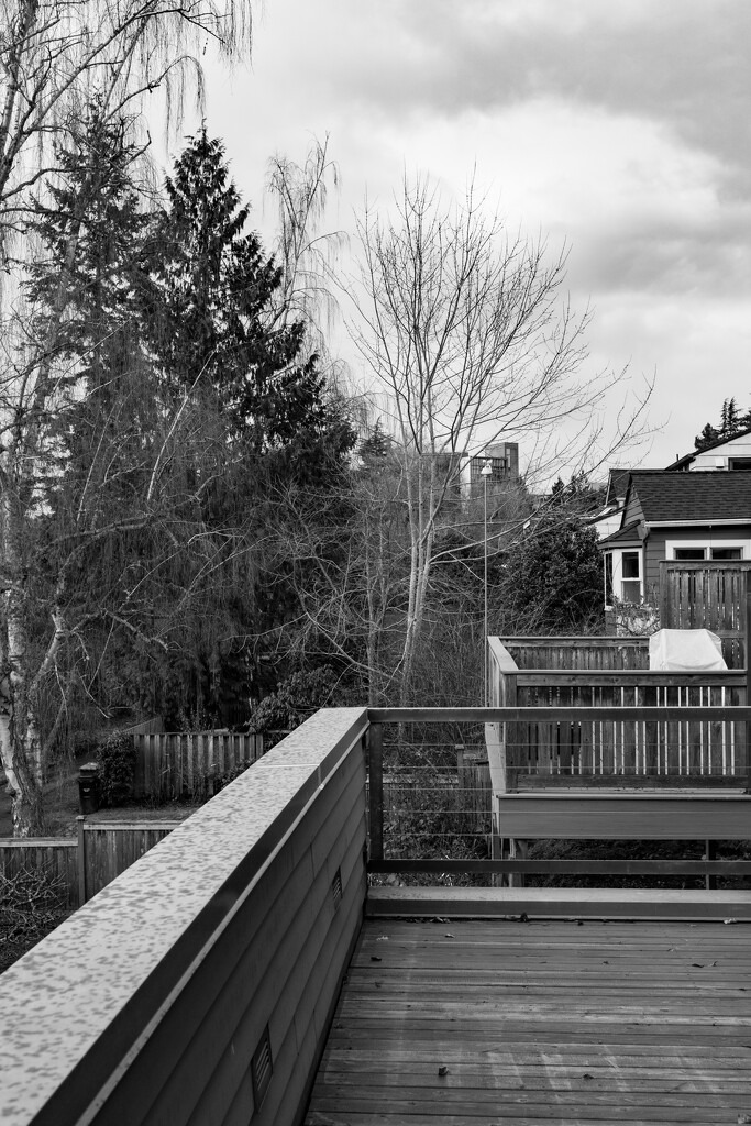 Back decks by cristinaledesma33