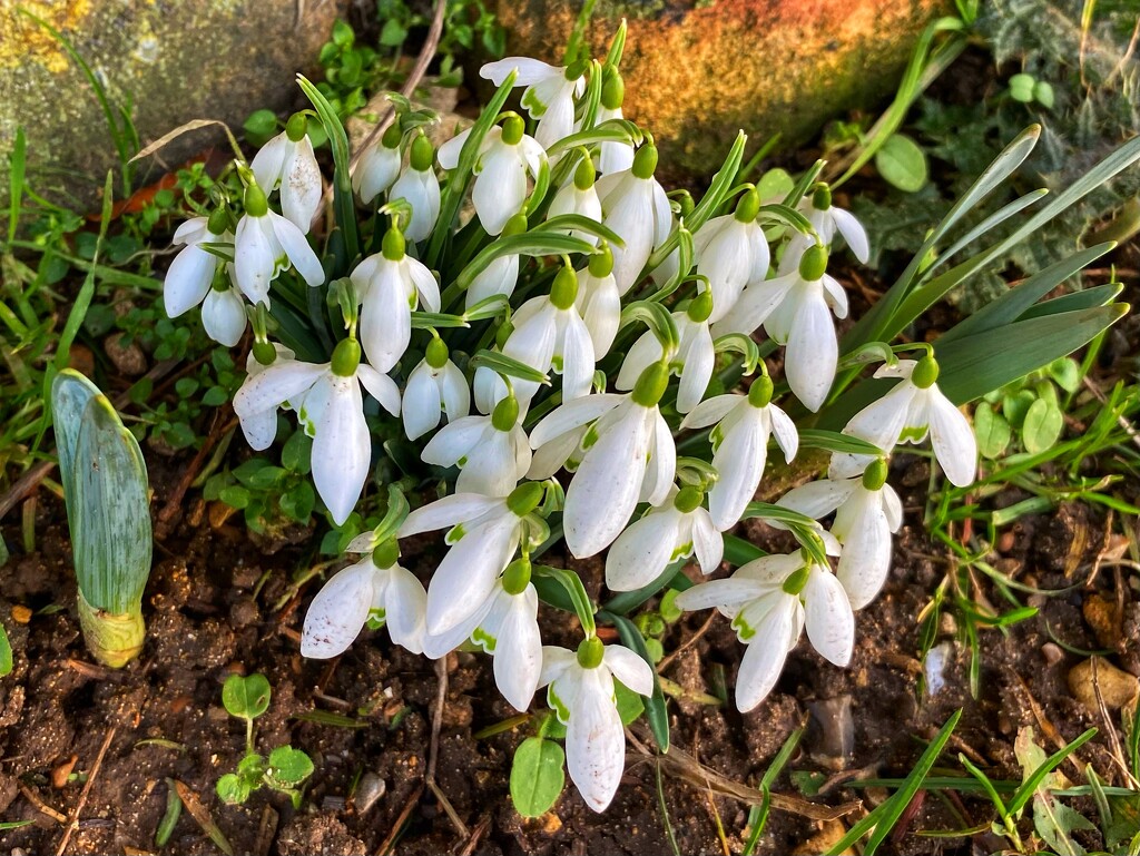 Signs of Spring by cmf