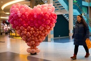 4th Feb 2025 - Balloon heart