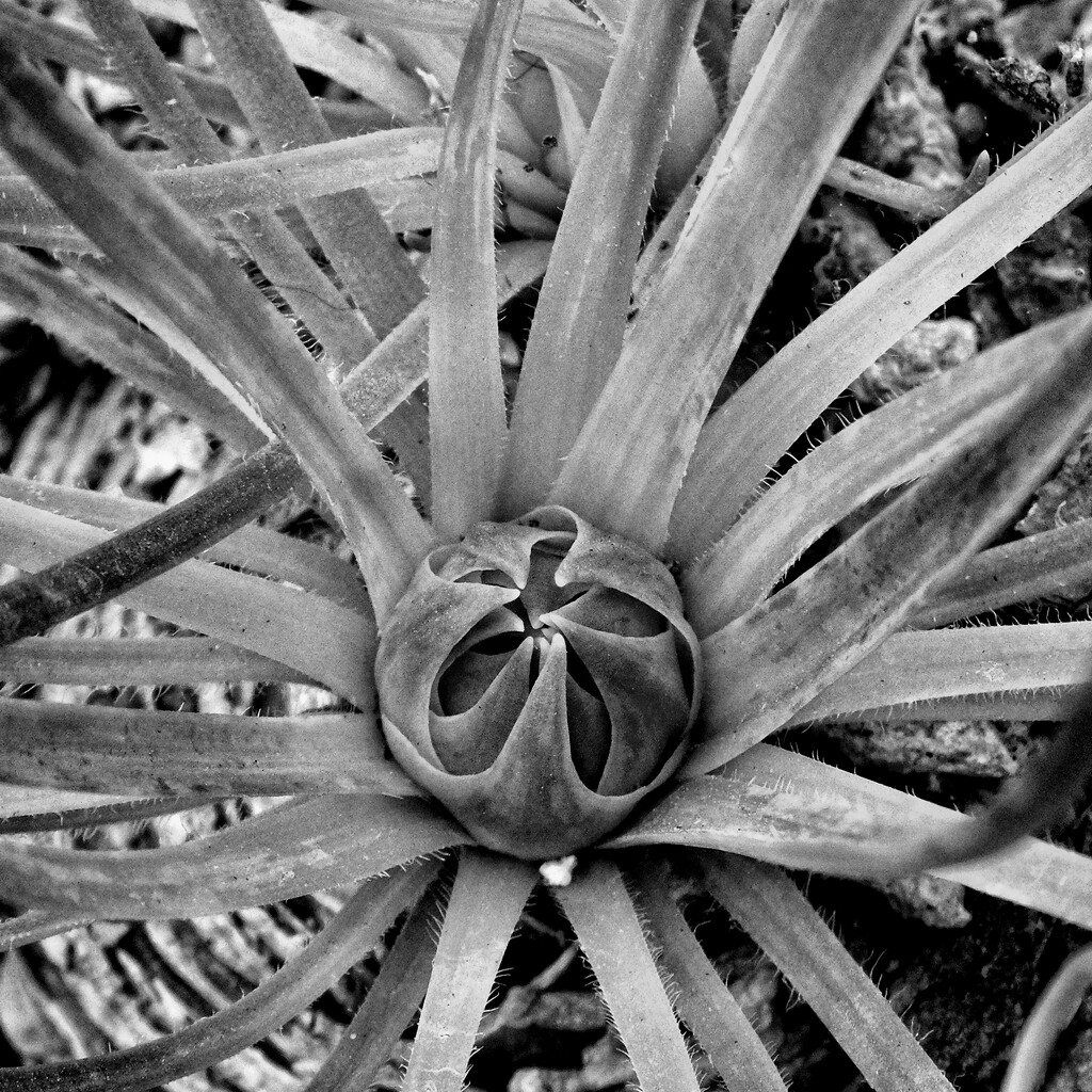 Centered by lsquared