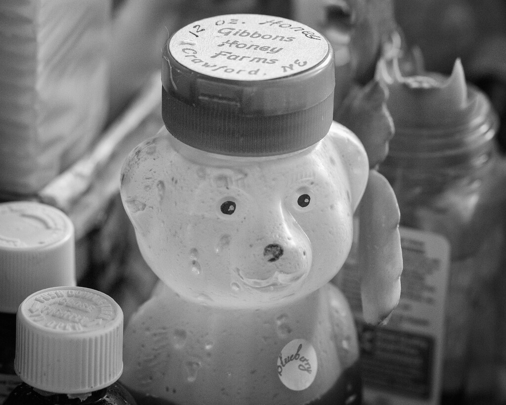 honey bear by aecasey