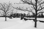 3rd Feb 2025 - Salisbury Plain?
