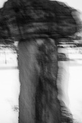3rd Feb 2025 - Mjölnir shook, hungry for battle and the god's grip