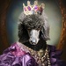 Queen Josephine