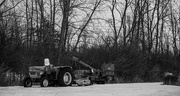 4th Feb 2025 - Waiting for spring