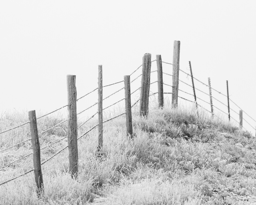 fenceline by aecasey