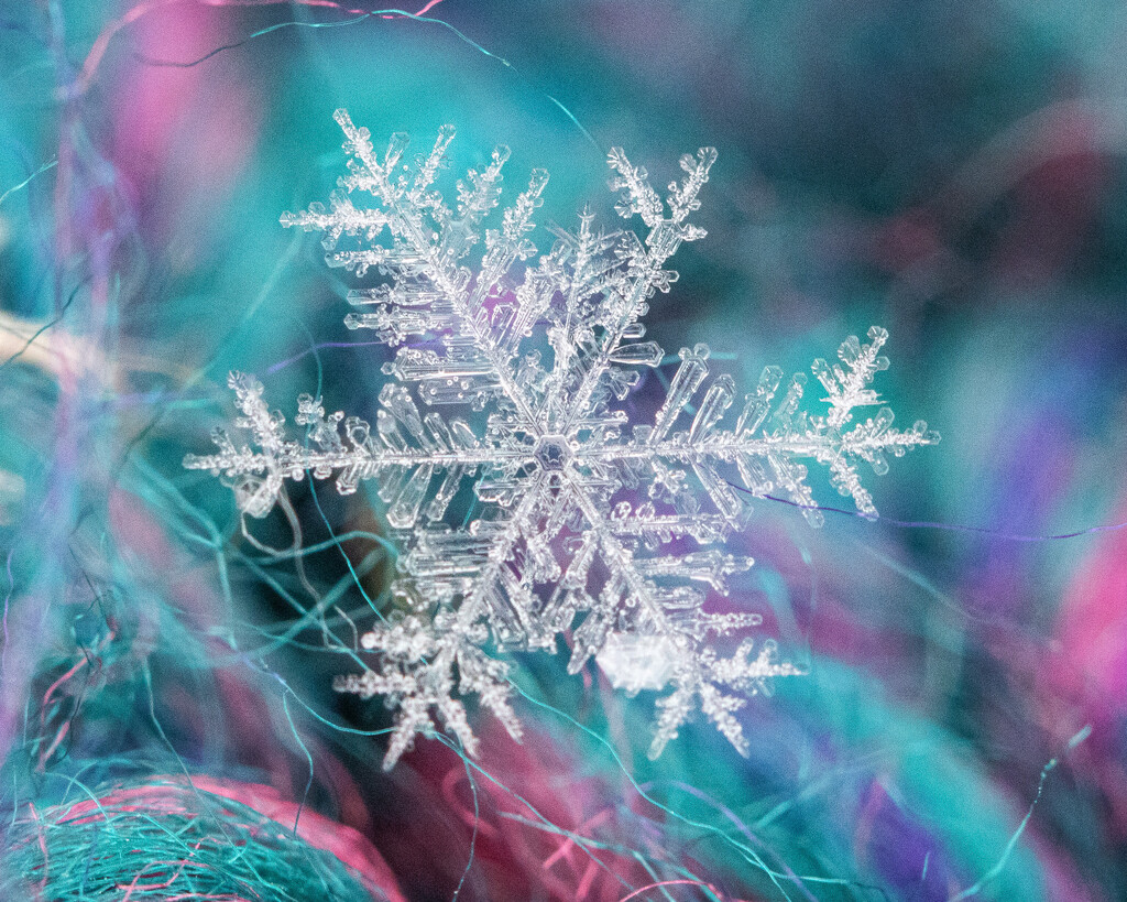 snowy Monday by aecasey
