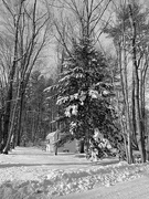 4th Feb 2025 - Snow is here