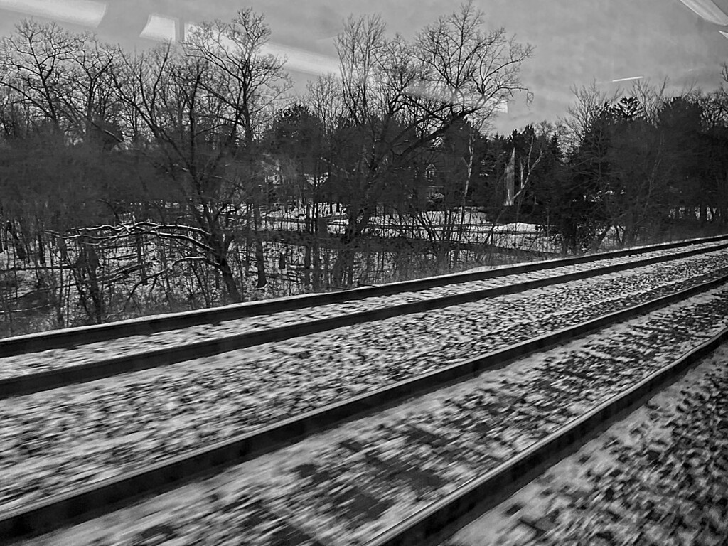 Just Passing Through by gardencat