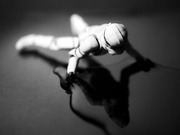 4th Feb 2025 - a cautionary tale