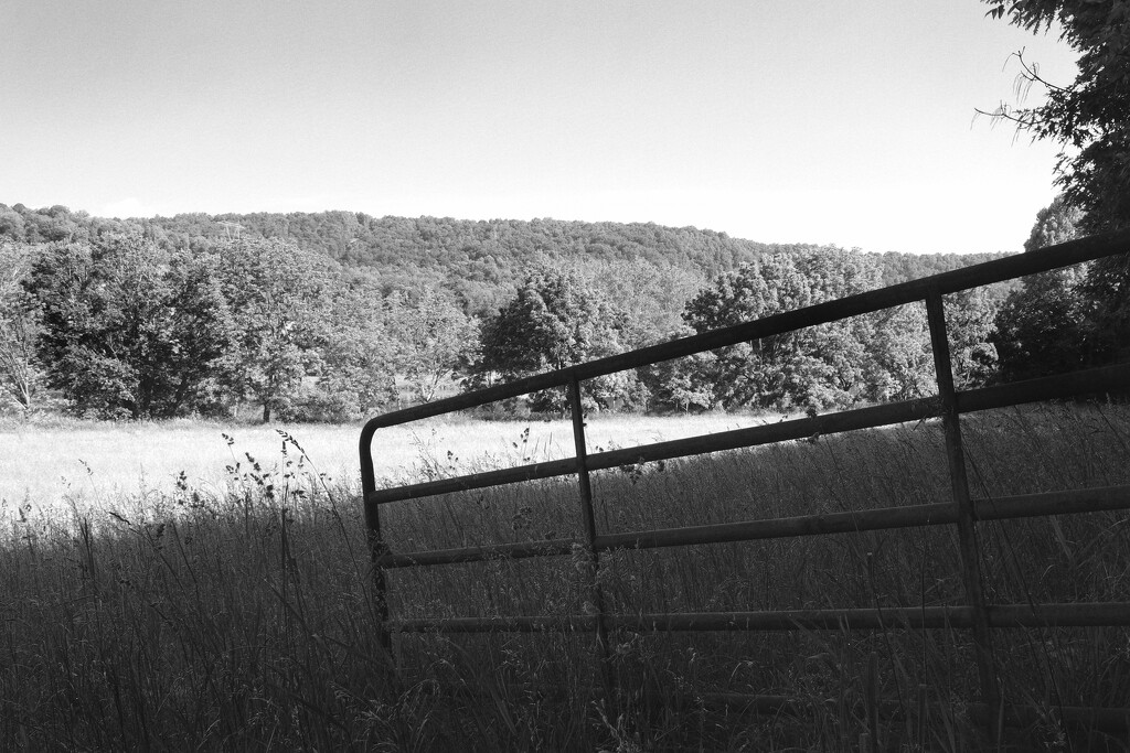 Good Fences by lsquared